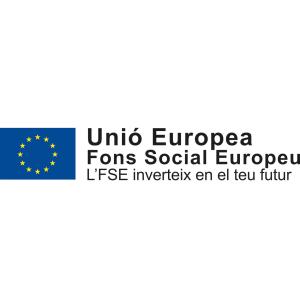 Fons Social Europeu
